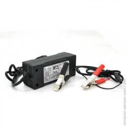 Зарядний пристрій Merlion LiFePO4 12V (14,6V) -5A-60W