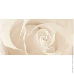 Opoczno Декор Effecta beige 30x60 см