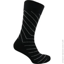 Premier Socks Носки мужские в полоску р.25 черный