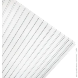 Raplast Поликарбонат сотовый 6 мм 2000x1050 мм прозрачный