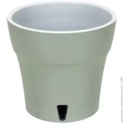  Santino   Dali  - 1,2  (2022721)