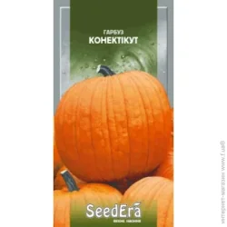 Seedera Насіння гарбуз Коннектикут 2г (4823073720042) 2 г