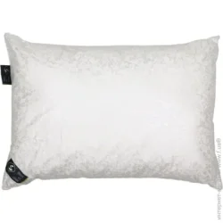 Songer Und Sohne  50x70  