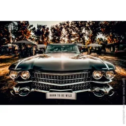 Styler Картина Форсаж 113x85 см CA-13051