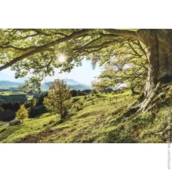 Styler Картина на склі Зелене дерево 80x120 см GL-02002
