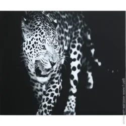 Styler Картина Leopard скляна 70x100 см GL-00216