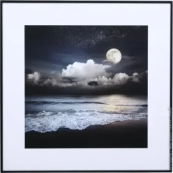 Styler Картина Moon beach 50x50 см OB-14251