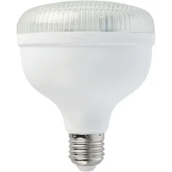 Светодиодная лампа Teb Elektrik Лампа светодиодная CRYSTAL-40 40 Вт матовая E27 175 В 6400 К 001-016-1040-010