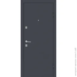 TM Riccardi Двері вхідні STREET BIT 06 B графіт сірий / дуб ash 2050x960 мм ліва