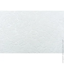 Vinil Шпалери під фарбування С-87 1,06x25 м