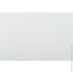 Vinil Шпалери під фарбування PRO 1 1,06x25 м