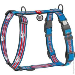 Шлея Waudog Шлейка анатомическая рисунок "Супермен Ретро" М Ш20 мм А 38-