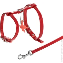 Шлея Waudog Шлейка Collar Glamour с поводком 9 мм 33993