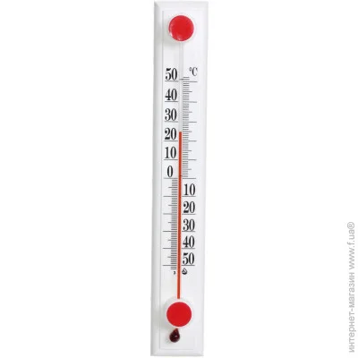   -19