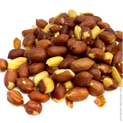     200 