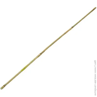    210  BS-19-210