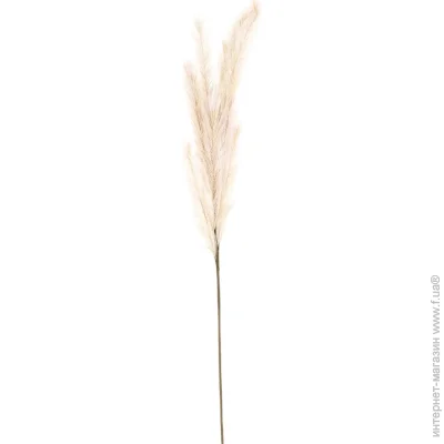    2  120  SDBFY26X (GOLD)