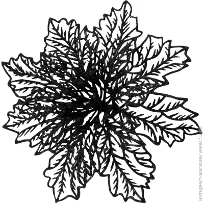 Декорация новогодняя Рождественник паутинка 2 черный 17 см Декорация новогодняя Рождественник паутинка 2 черный 17 см