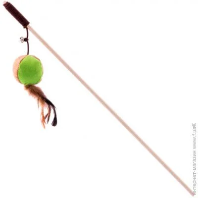    40