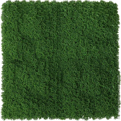         50x50 