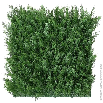        50x50 