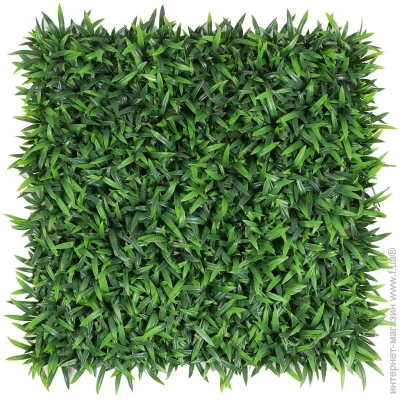        50x50 