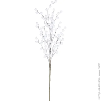       58  RS1Z2243-58CM