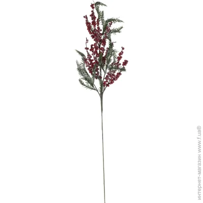      77 . EYC21025