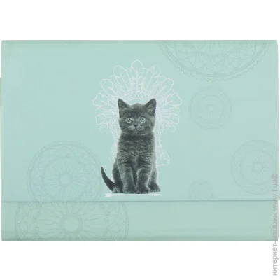- A5  - Cat  5 iTEM 