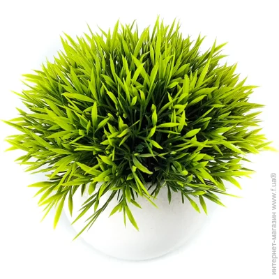     Fleur 614     