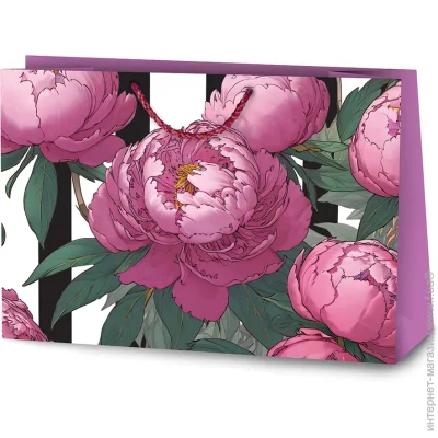     L  24x35x12 (, , )