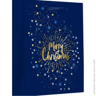     LARGE XMAS 1 26x12,7x32,4  