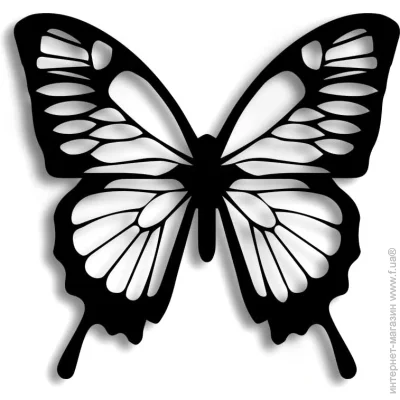    PN055 36x35 