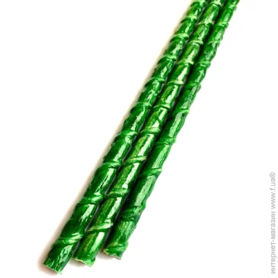   Rebar Pro 10  (1 ) 