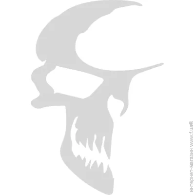   Skull