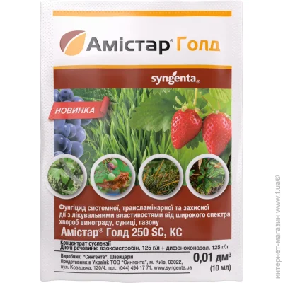  Syngenta   10 