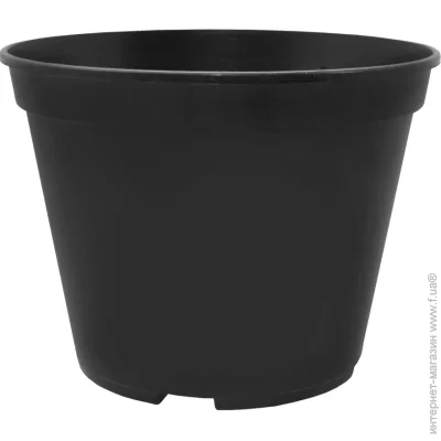  119039 
