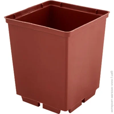      5 .