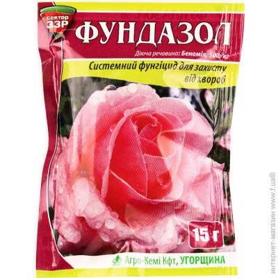  33   15 