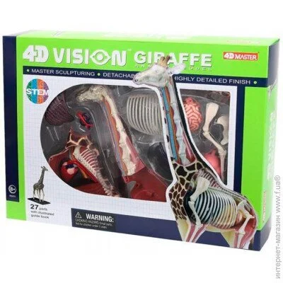 4D Master  (FM-622011)