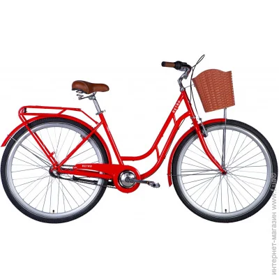   RETRO . ST 28" 19"  2024 (OPS-D-28-396)