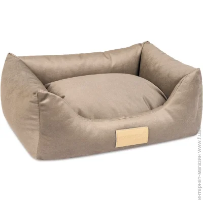     Molly2 625019  ϳ (PR242134) (9972)