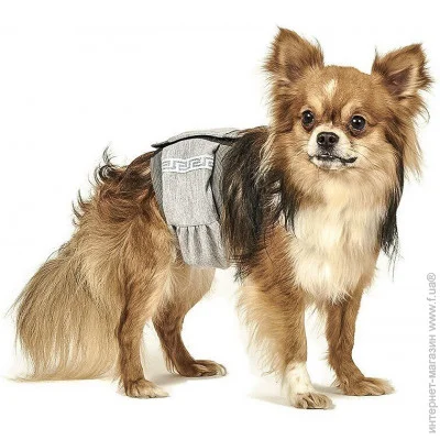 Гигиенический пояс Природа Пояс гигиенический для кобелей XS (4823082402243) Гигиенический пояс Природа Пояс гигиенический для кобелей XS (4823082402243)