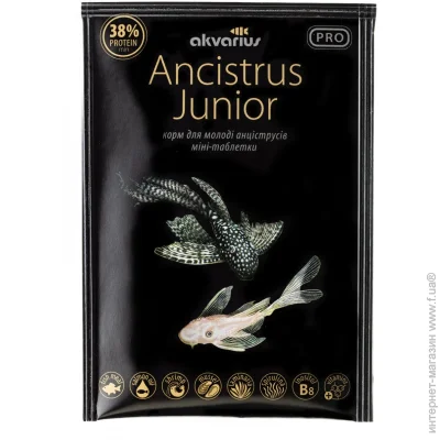   Ancistrus Junior - 40 