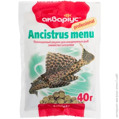   Ancistrus menu 40  4949