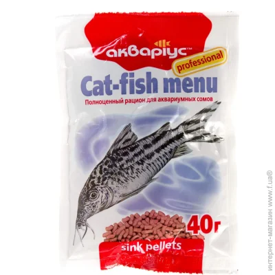   Cat-fish menu 40 4951