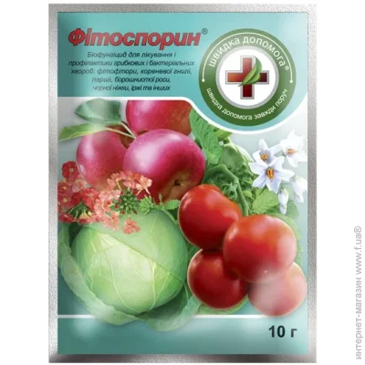   Գ 10 