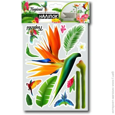     3 "Tropical" -01-4
