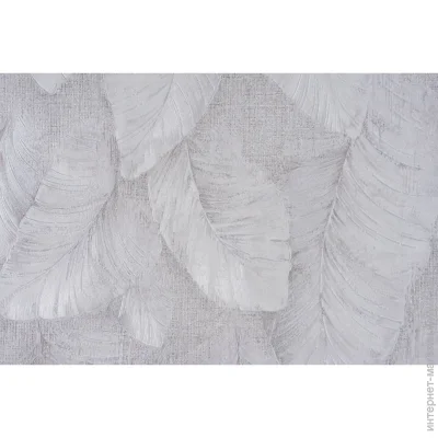     Gracia ˳ 2 6404-01 0,53x10,05 