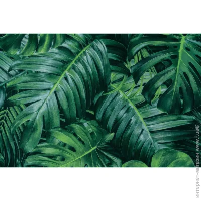     KOLORIT 5265-03 0,53x10,05 